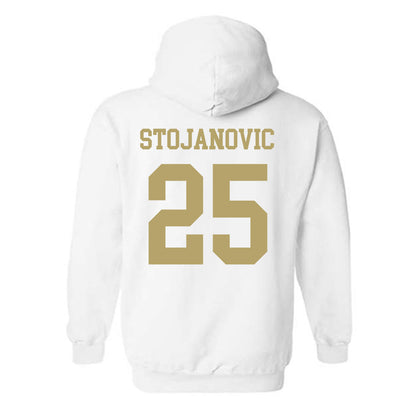 Georgia Tech - NCAA Women's Volleyball : Bjanka Stojanovic - Classic Shersey Hooded Sweatshirt-1