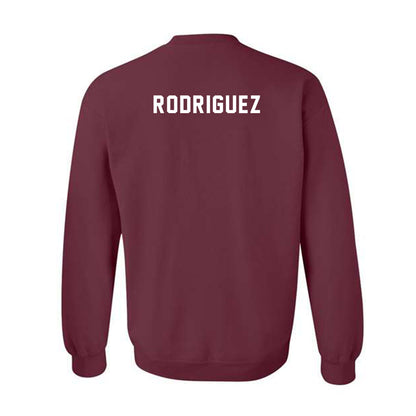 Texas A&M - NCAA Equestrian : Dylanne Rodriguez - Sports Shersey Crewneck Sweatshirt-1