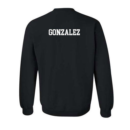 SBU - NCAA Women's Swimming & Diving : Sofia Gonzalez - Classic Shersey Crewneck Sweatshirt-1