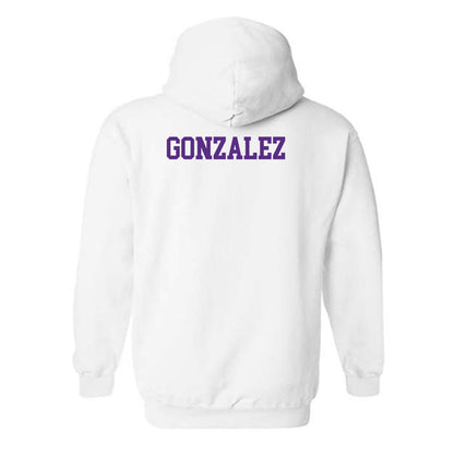 SBU - NCAA Women's Swimming & Diving : Sofia Gonzalez - Classic Shersey Hooded Sweatshirt-1
