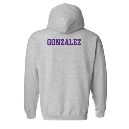 SBU - NCAA Women's Swimming & Diving : Sofia Gonzalez - Classic Shersey Hooded Sweatshirt-1