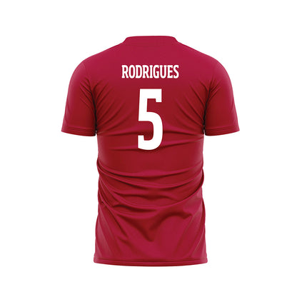 LMU - NCAA Men's Soccer : Nathan Rodrigues - Red Soccer Jersey-1