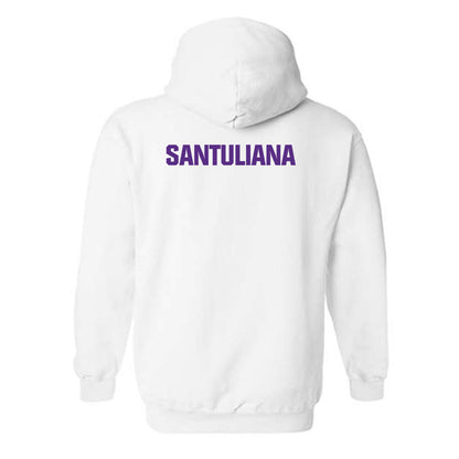 LSU - NCAA Women's Swimming & Diving : Nicole Santuliana - Classic Shersey Hooded Sweatshirt-1