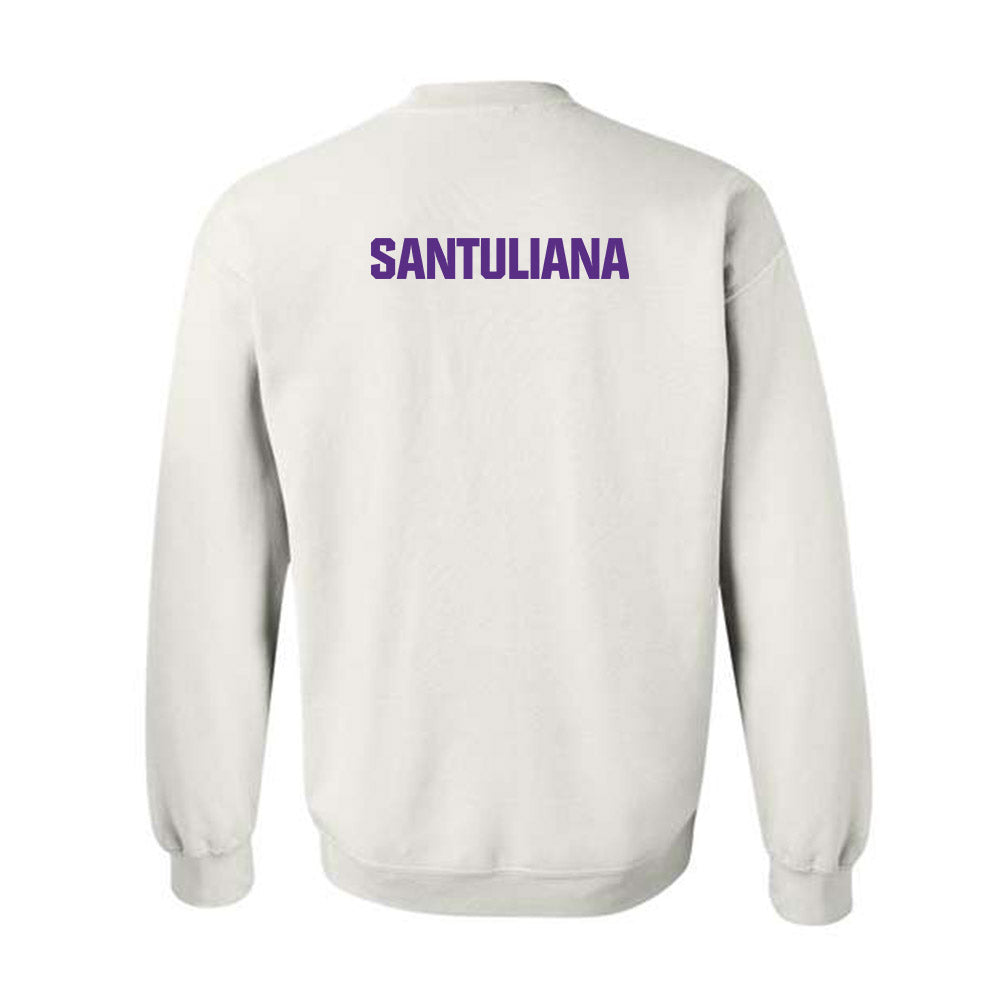 LSU - NCAA Women's Swimming & Diving : Nicole Santuliana - Classic Shersey Crewneck Sweatshirt-1