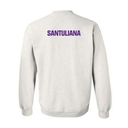 LSU - NCAA Women's Swimming & Diving : Nicole Santuliana - Classic Shersey Crewneck Sweatshirt-1