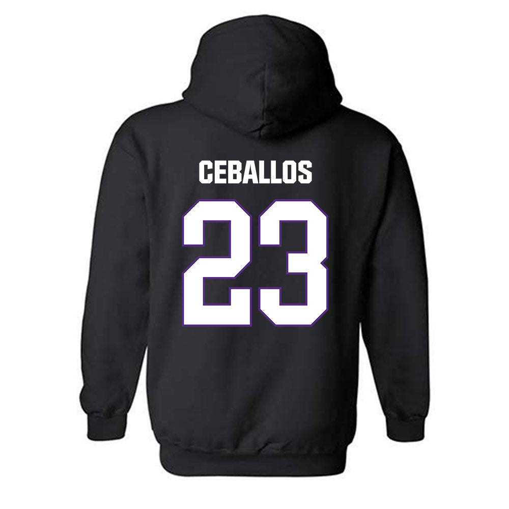 LSU - NCAA Women's Soccer : Gabbi Ceballos - Classic Shersey Hooded Sweatshirt-1