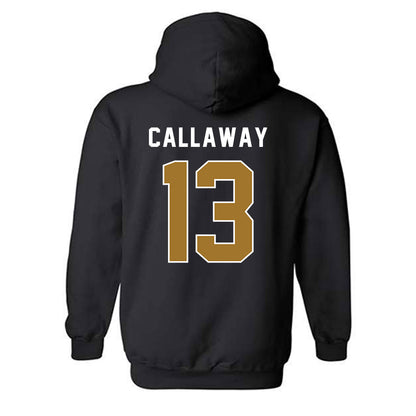Emporia - NCAA Softball : Addison Callaway - Classic Shersey Hooded Sweatshirt-1