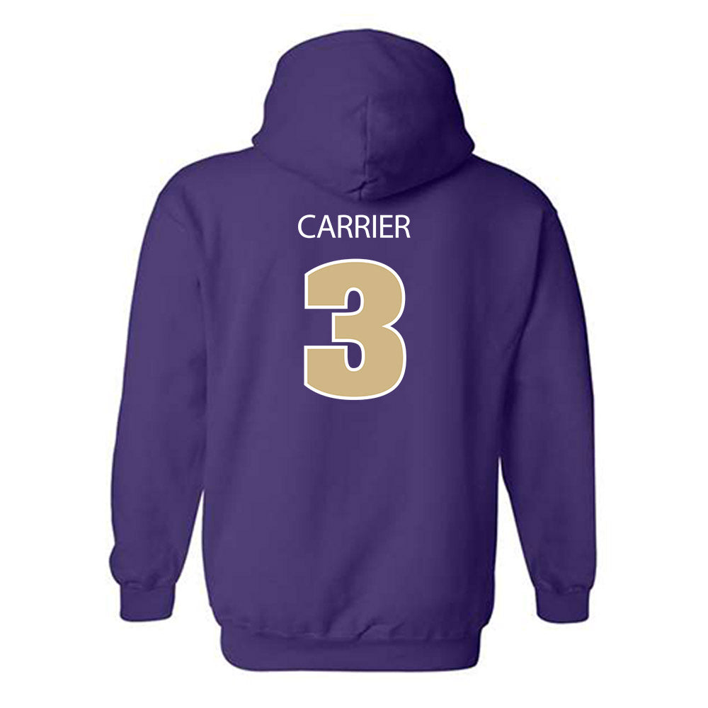 Sewanee - NCAA Men's Basketball : Reid Carrier - Classic Shersey Hooded Sweatshirt-1