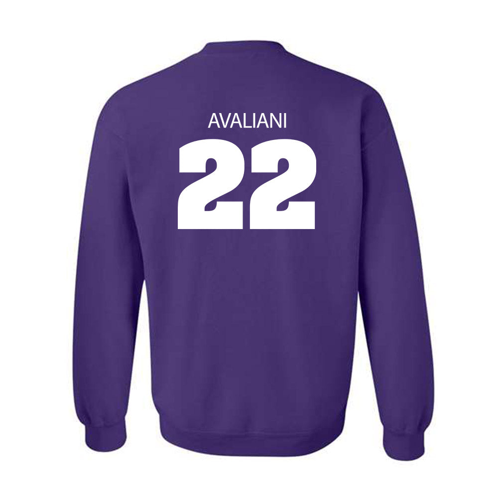 Sewanee - NCAA Men's Basketball : Nikolas Avaliani - Classic Shersey Crewneck Sweatshirt-1