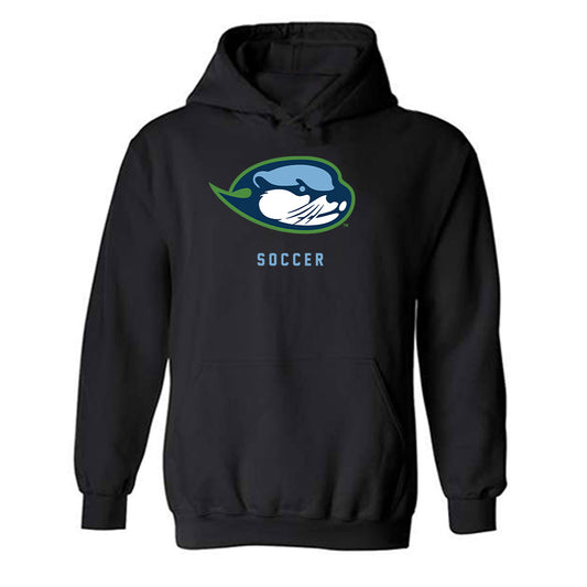 CSU Monterey Bay - NCAA Women's Soccer : Danielle Castro - Classic Shersey Hooded Sweatshirt-0