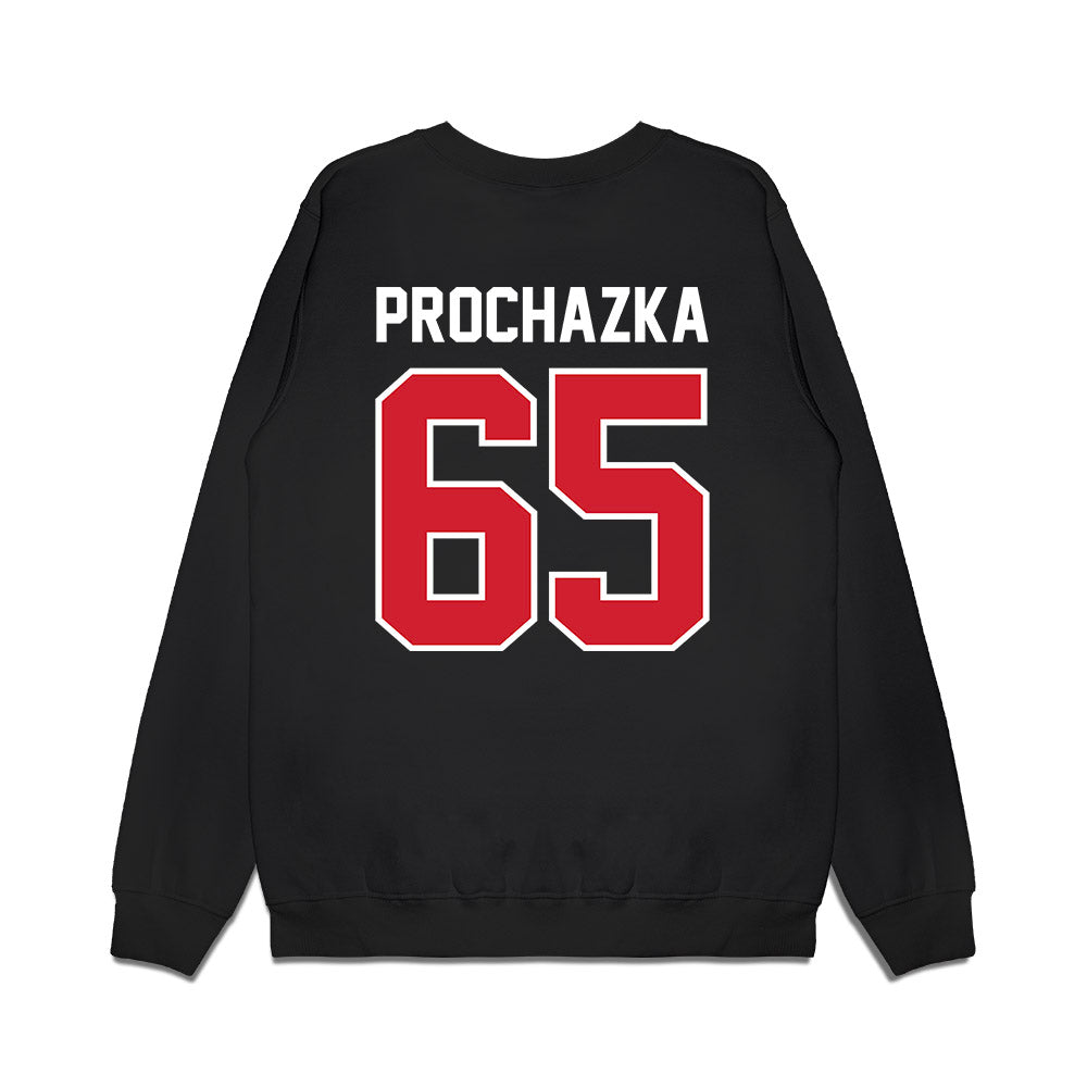 Nebraska - NCAA Football : Teddy Prochazka - Vintage Helmet Premium Crewneck Sweatshirt-1