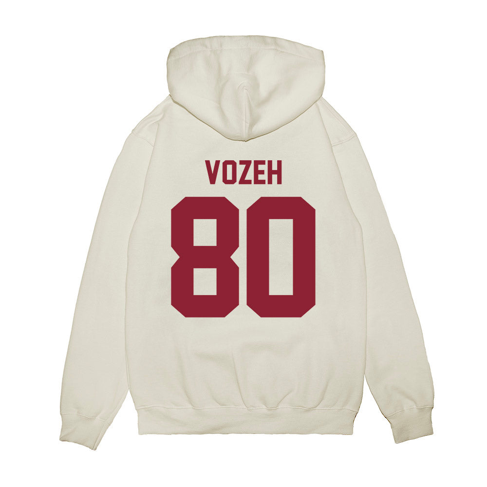 South Carolina - NCAA Football : Lukas Vozeh - Vintage Helmet Premium Hooded Sweatshirt-1