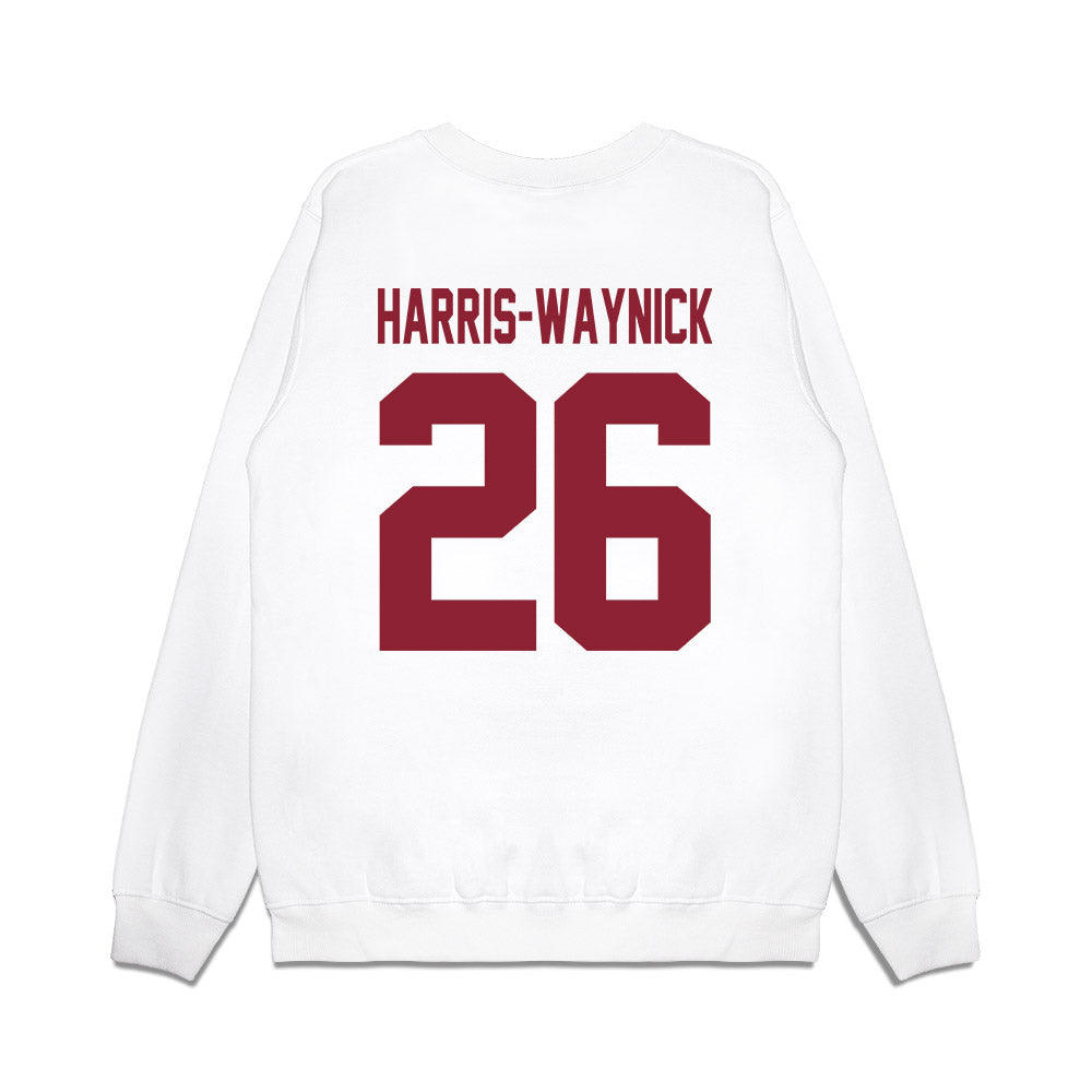 South Carolina - NCAA Football : Nathan Harris-Waynick - Vintage Helmet Premium Crewneck Sweatshirt-1