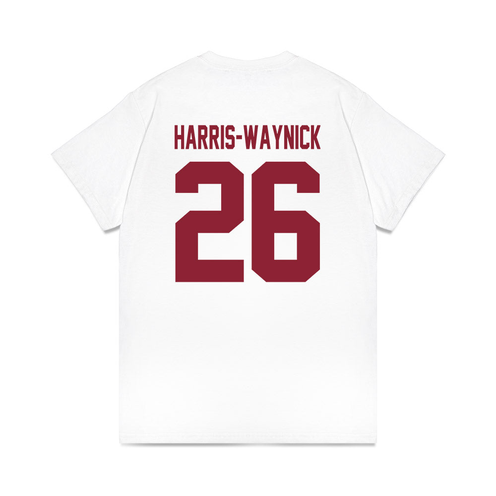 South Carolina - NCAA Football : Nathan Harris-Waynick - Vintage Helmet Comfort Colors T-Shirt-1