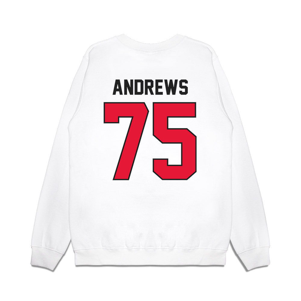 Rutgers - NCAA Football : Raynor Andrews - Vintage Helmet Premium Crewneck Sweatshirt-1