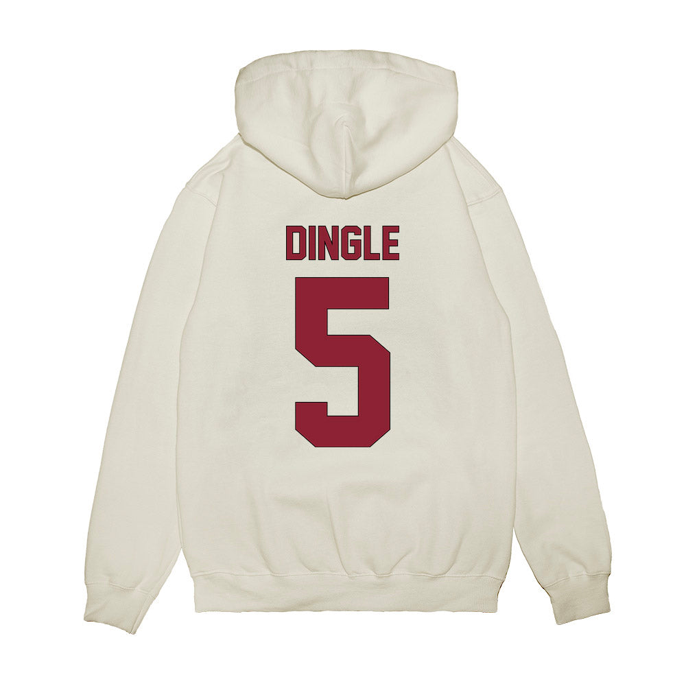 South Carolina - NCAA Football : Jordan Dingle - Vintage Helmet Premium Hooded Sweatshirt-1