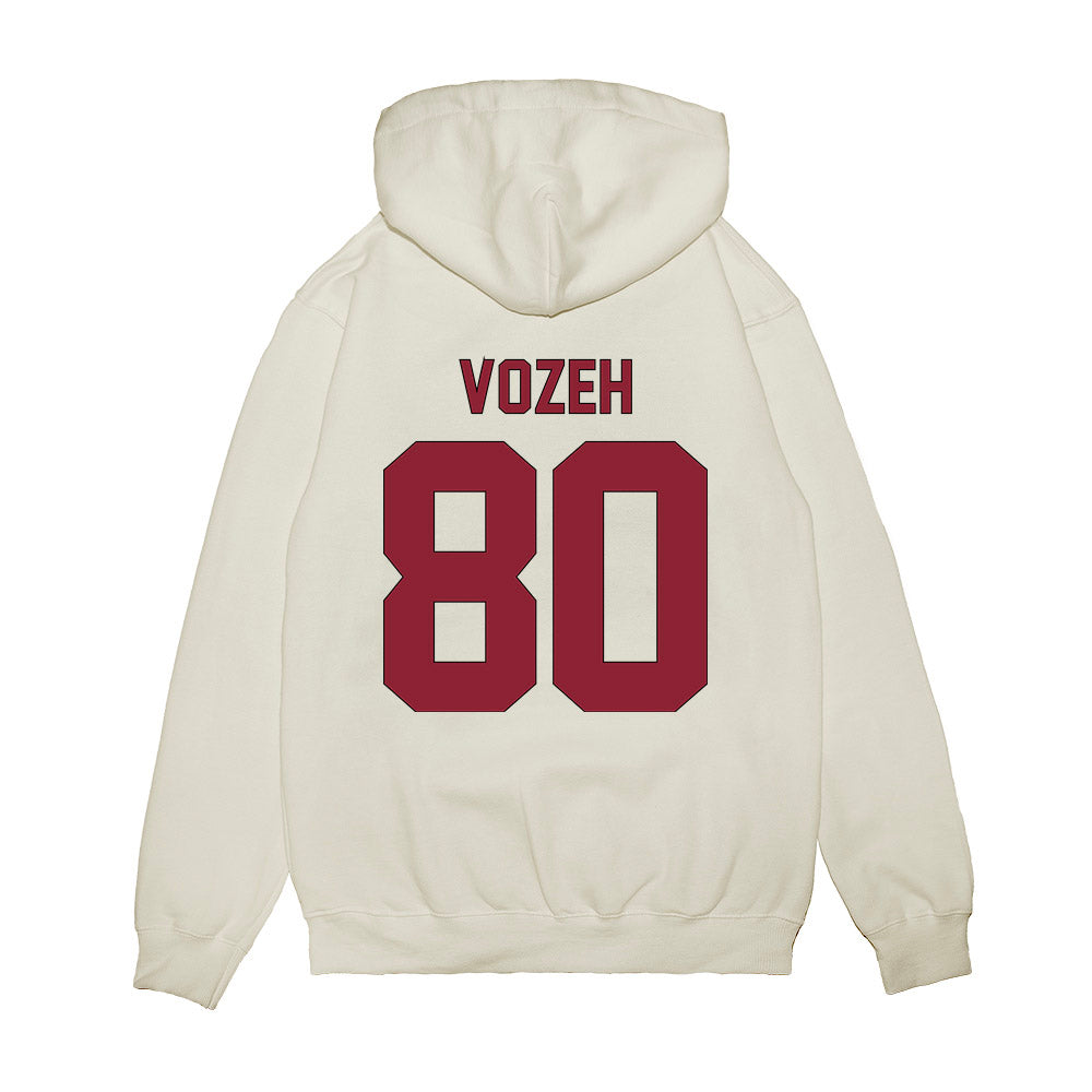 South Carolina - NCAA Football : Lukas Vozeh - Vintage Helmet Premium Hooded Sweatshirt-1