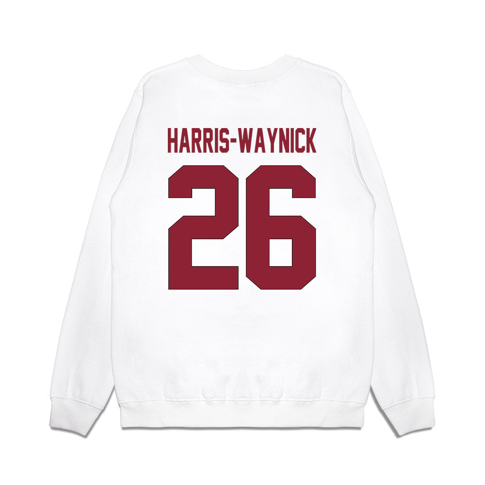 South Carolina - NCAA Football : Nathan Harris-Waynick - Vintage Helmet Premium Crewneck Sweatshirt-1