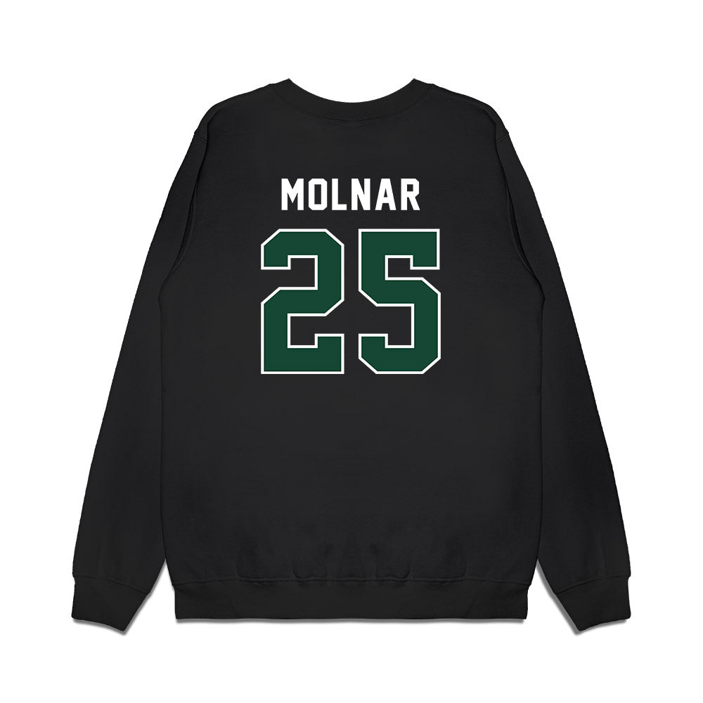 Ohio - NCAA Football : Michael Molnar - Vintage Helmet Premium Crewneck Sweatshirt-1