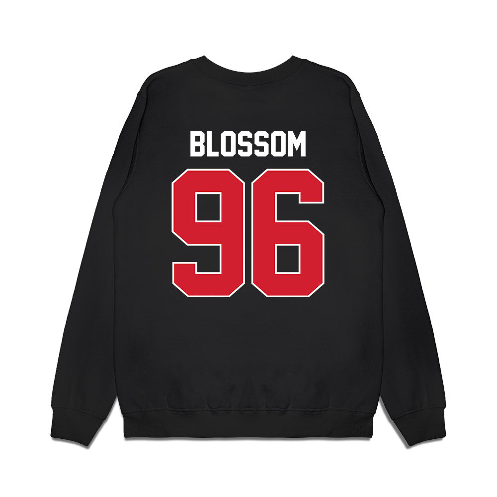 Arkansas State - NCAA Football : Ronnie Blossom - Vintage Helmet Premium Crewneck Sweatshirt-1