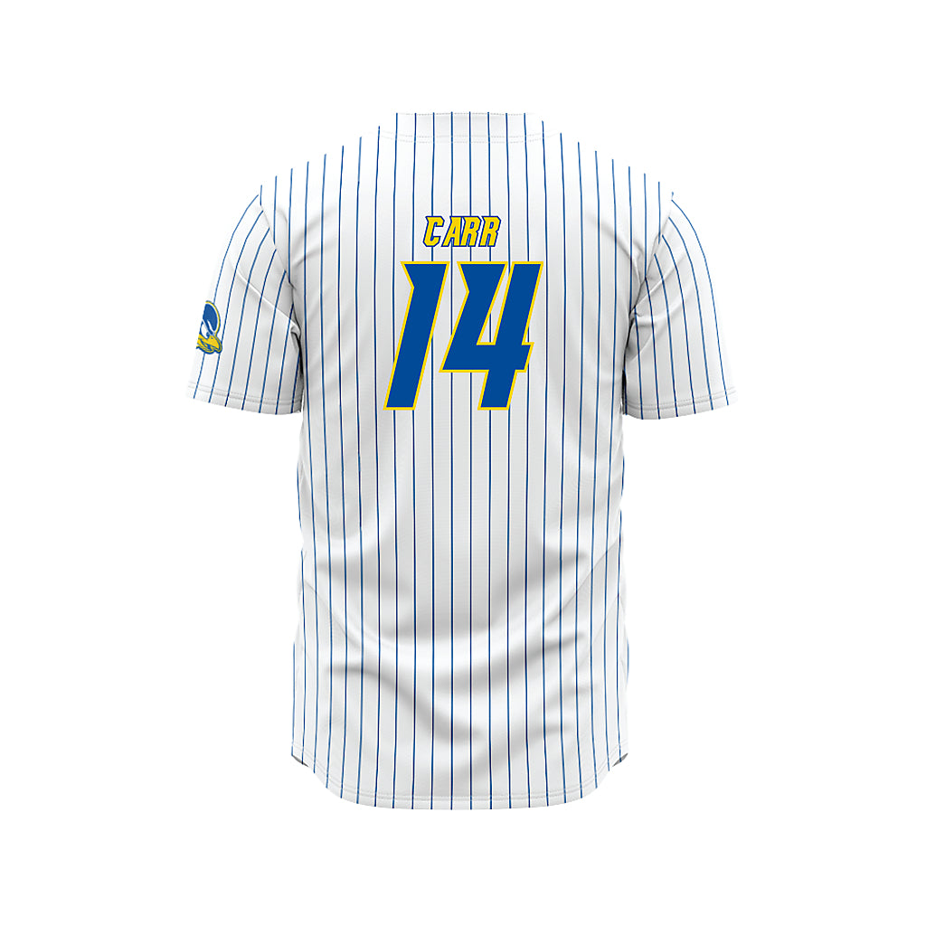 Delaware - NCAA Baseball : Harry Carr - White Pinstripe Jersey-1
