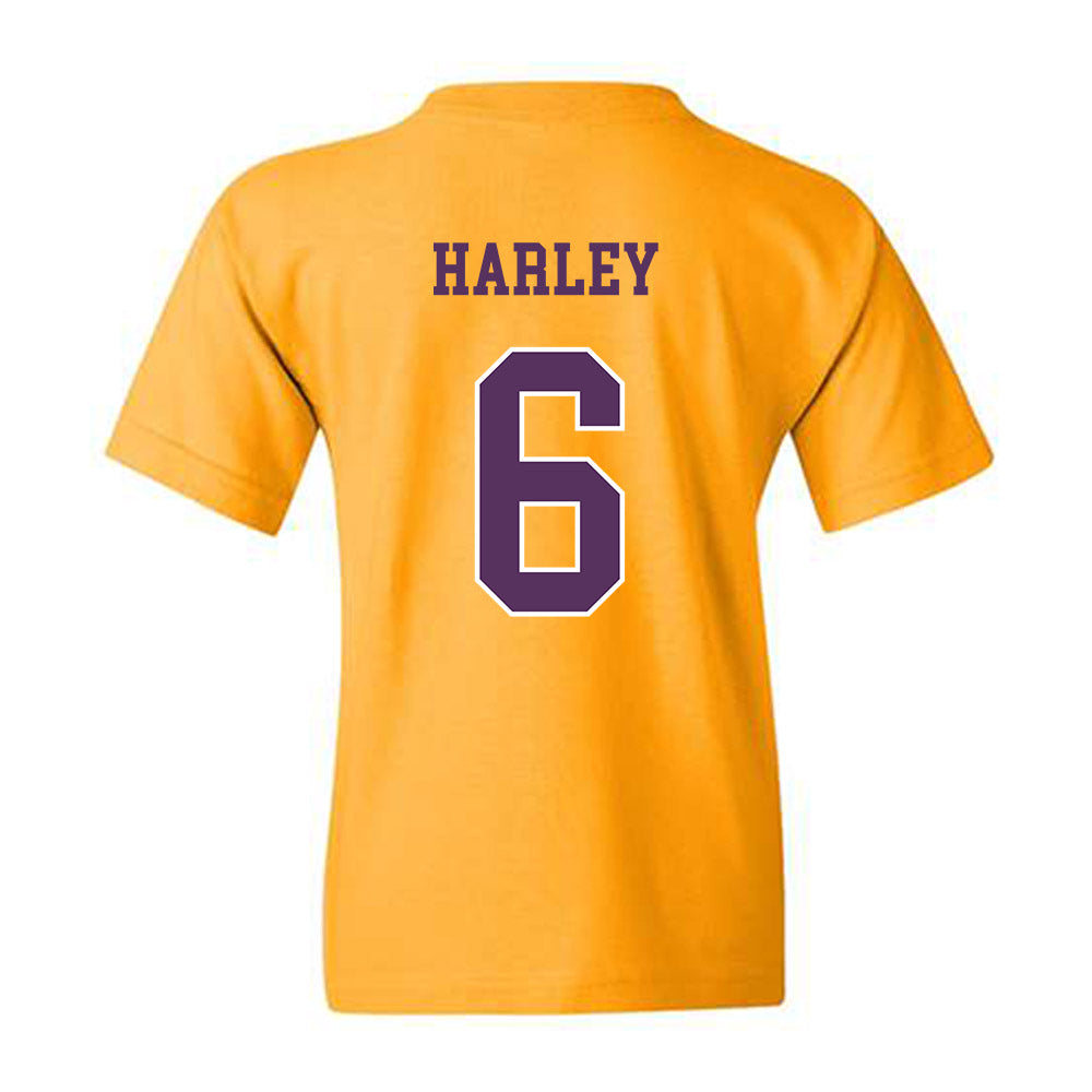 JMU - NCAA Football : Chantz Harley - Vintage Dukes Youth T-Shirt-1