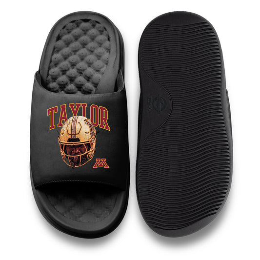 Minnesota - NCAA Football : Darius Taylor - ISlide-0