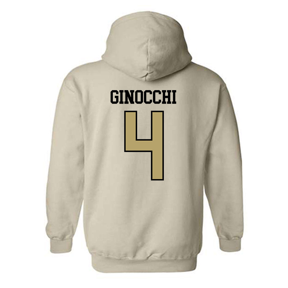 Ferrum - NCAA Men's Soccer : Daniel Ginocchi - Classic Shersey Hooded Sweatshirt-1