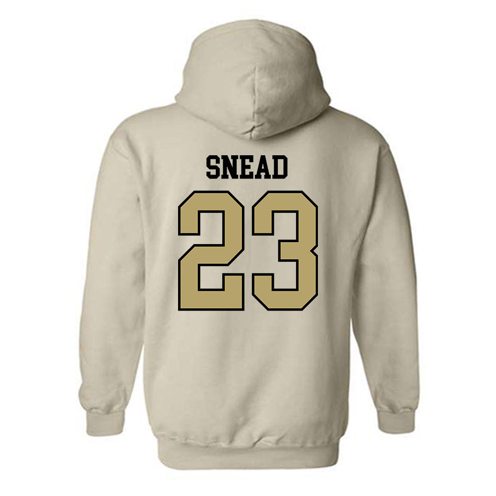 Ferrum - NCAA Softball : Zoey Snead - Classic Shersey Hooded Sweatshirt-1