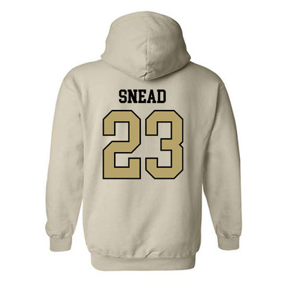 Ferrum - NCAA Softball : Zoey Snead - Classic Shersey Hooded Sweatshirt-1