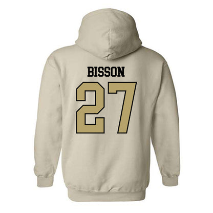Ferrum - NCAA Softball : Sydney Bisson - Classic Shersey Hooded Sweatshirt-1
