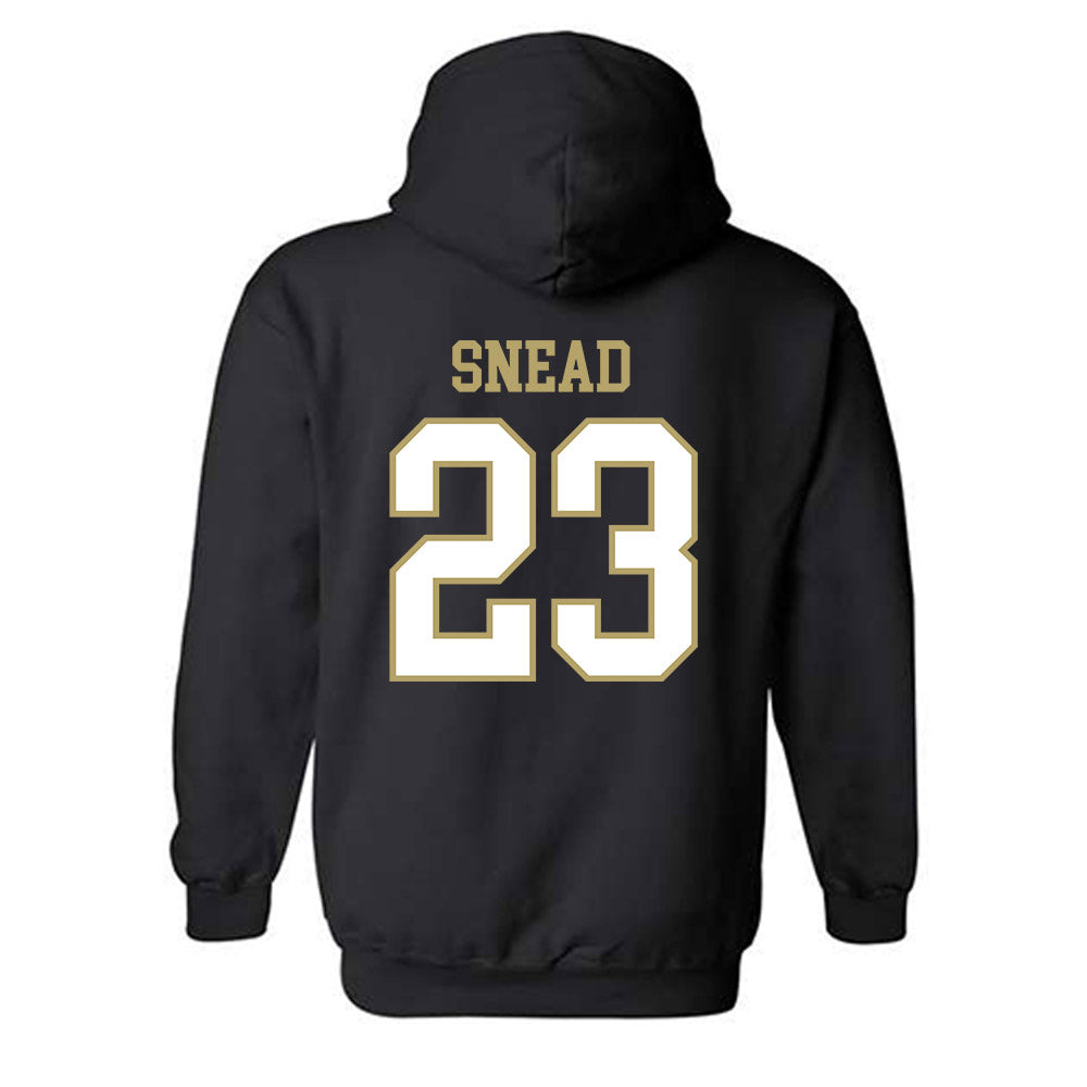 Ferrum - NCAA Softball : Zoey Snead - Classic Shersey Hooded Sweatshirt-1