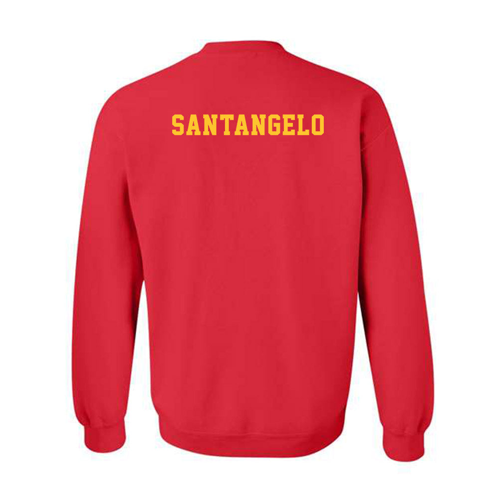 Ferris State - NCAA Men's Tennis : Alessandro santangelo - Replica Shersey Crewneck Sweatshirt-1