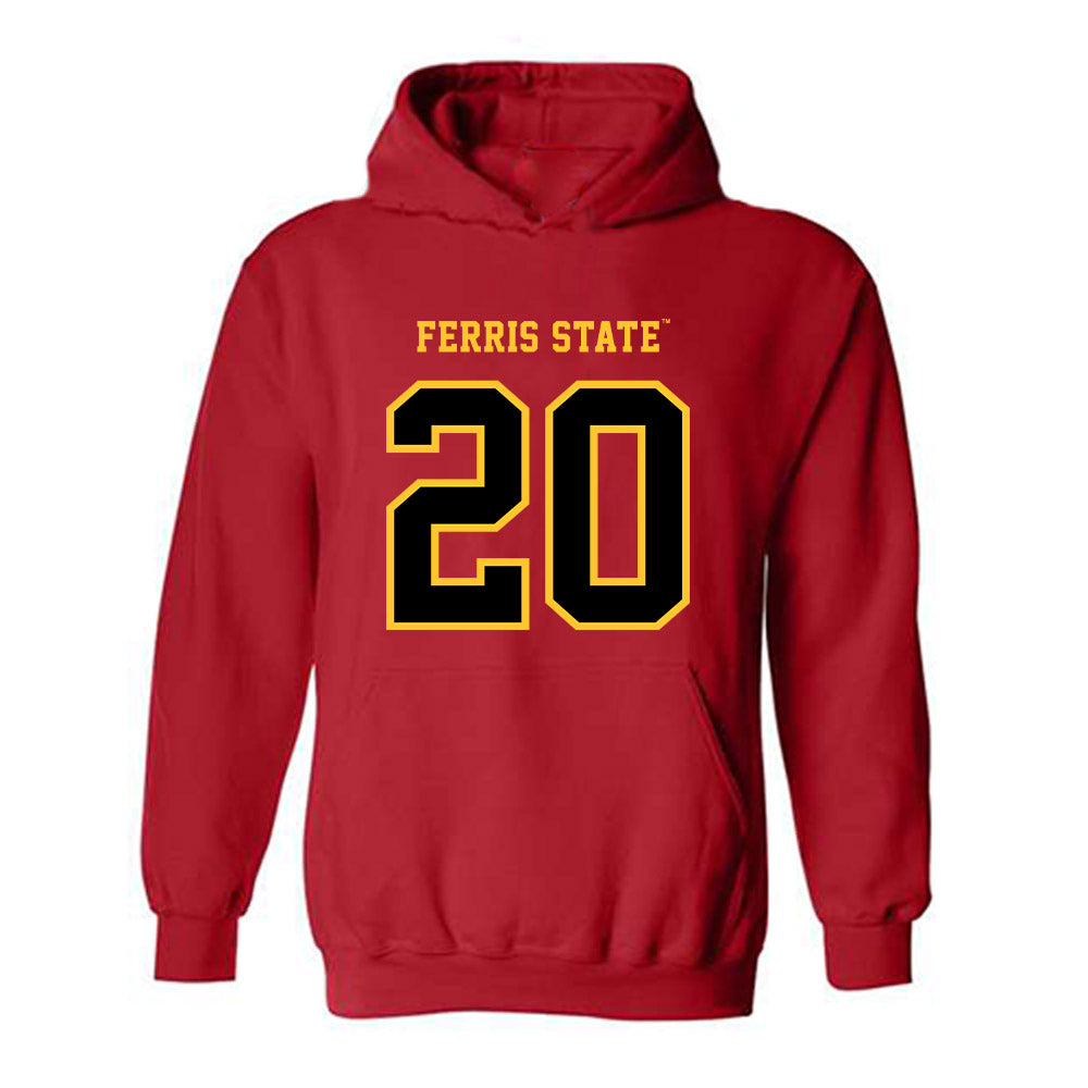 Ferris State - NCAA Softball : Jayden Marlatt - Replica Shersey Hooded Sweatshirt-0