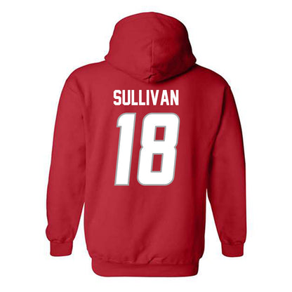 New Mexico - NCAA Baseball : Patrick Sullivan - Classic Shersey Hooded Sweatshirt-1