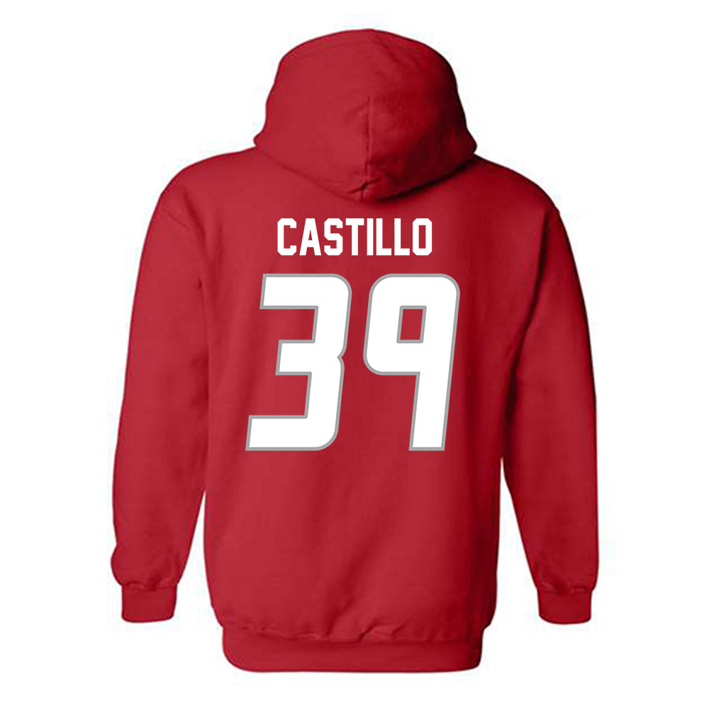 New Mexico - NCAA Baseball : Ryan Castillo - Classic Shersey Hooded Sweatshirt-1