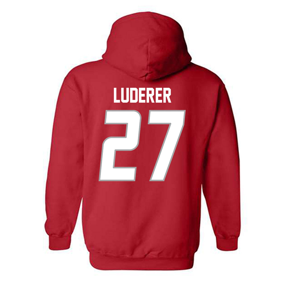 New Mexico - NCAA Softball : Hayden Luderer - Classic Shersey Hooded Sweatshirt-1