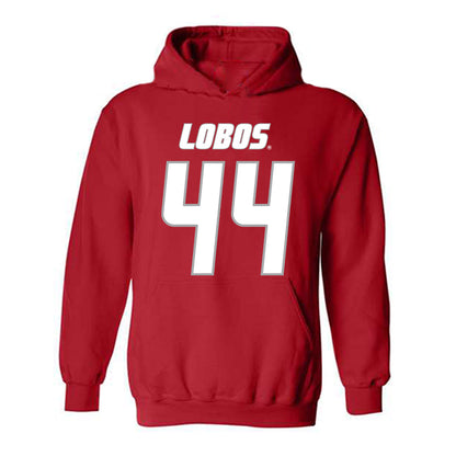 New Mexico - NCAA Softball : Natalie Fritz - Classic Shersey Hooded Sweatshirt-0