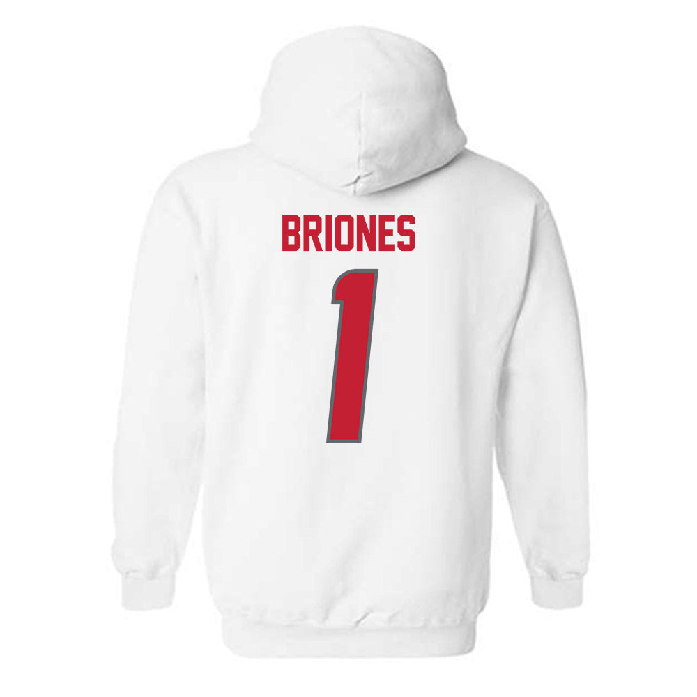 New Mexico - NCAA Softball : Gabrielle Briones - Classic Shersey Hooded Sweatshirt-1