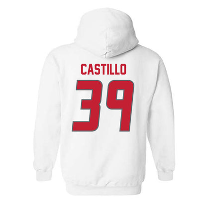 New Mexico - NCAA Baseball : Ryan Castillo - Classic Shersey Hooded Sweatshirt-1