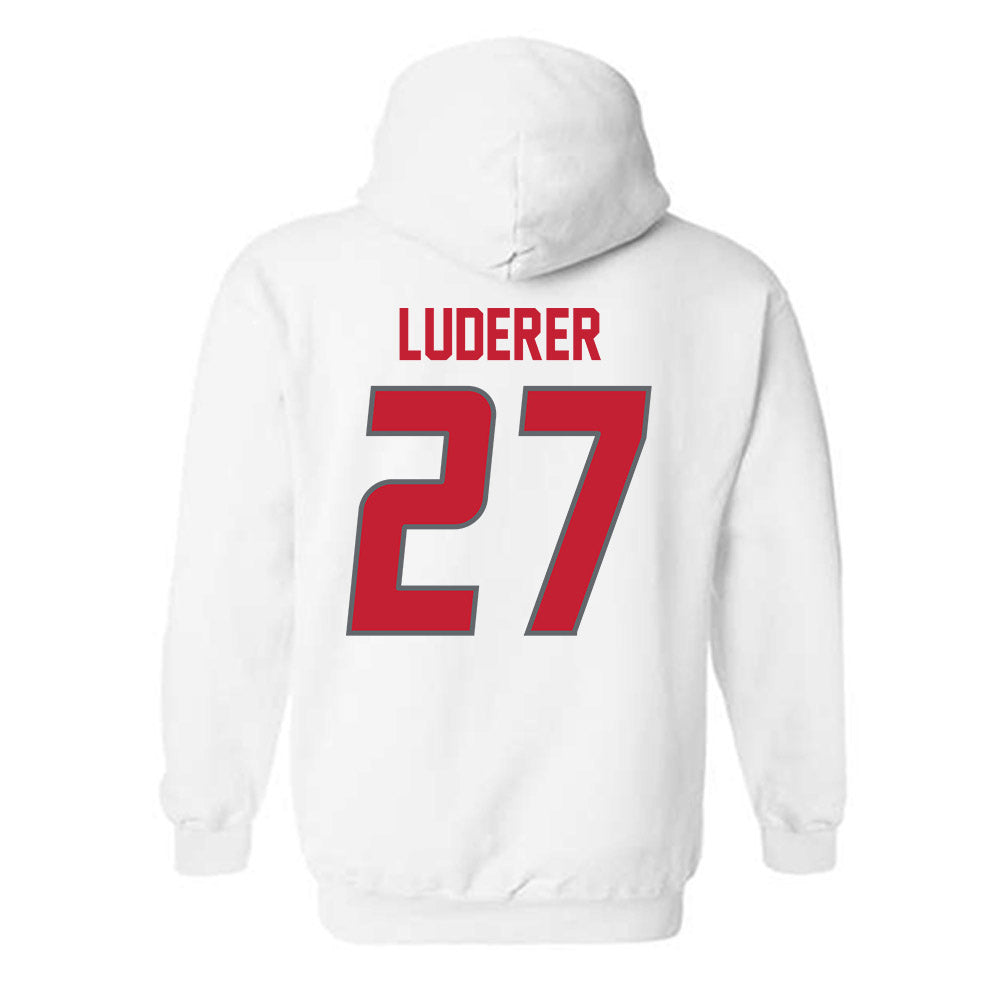 New Mexico - NCAA Softball : Hayden Luderer - Classic Shersey Hooded Sweatshirt-1