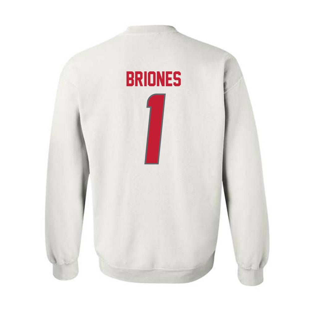 New Mexico - NCAA Softball : Gabrielle Briones - Classic Shersey Crewneck Sweatshirt-1