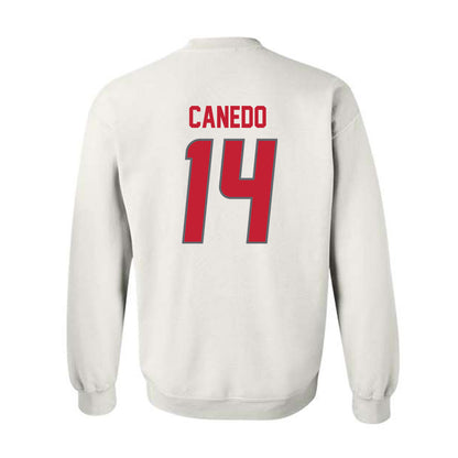New Mexico - NCAA Women's Volleyball : Camila Canedo - Classic Shersey Crewneck Sweatshirt-1