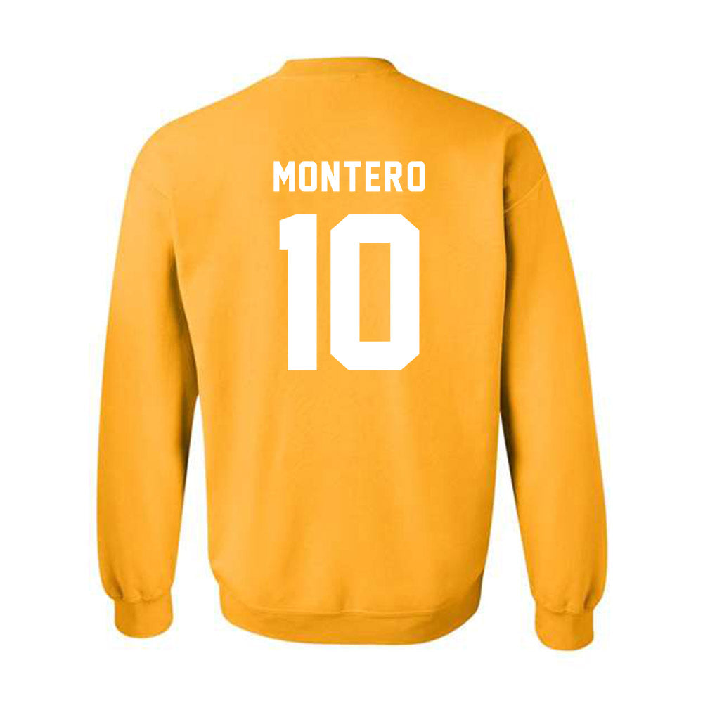 Idaho - NCAA Women's Soccer : Deanna Montero - VANDALS Crewneck Sweatshirt-1
