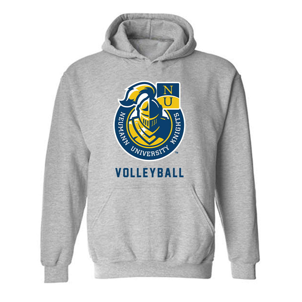 Neumann - NCAA Men's Volleyball : Javier Santos - Classic Shersey Hooded Sweatshirt-0
