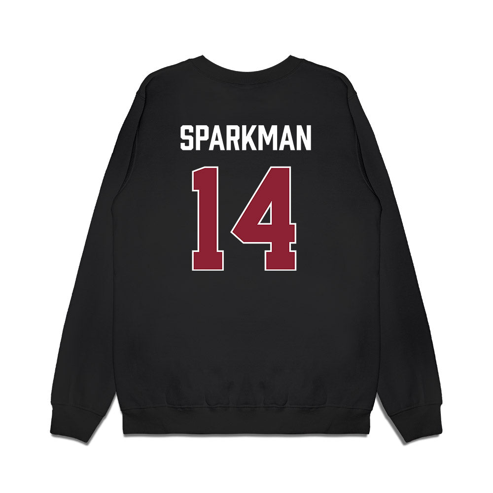 South Carolina - NCAA Men's Basketball : Eli Sparkman - Gamecocks Shersey Premium Crewneck Sweatshirt-1