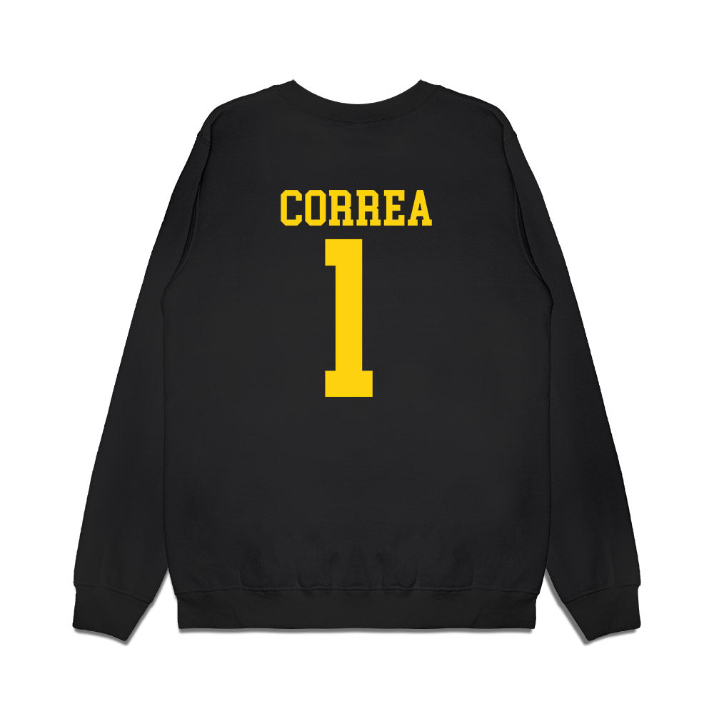 Delaware - NCAA Women's Basketball : Kailah Correa - Premium Crewneck Sweatshirt-1