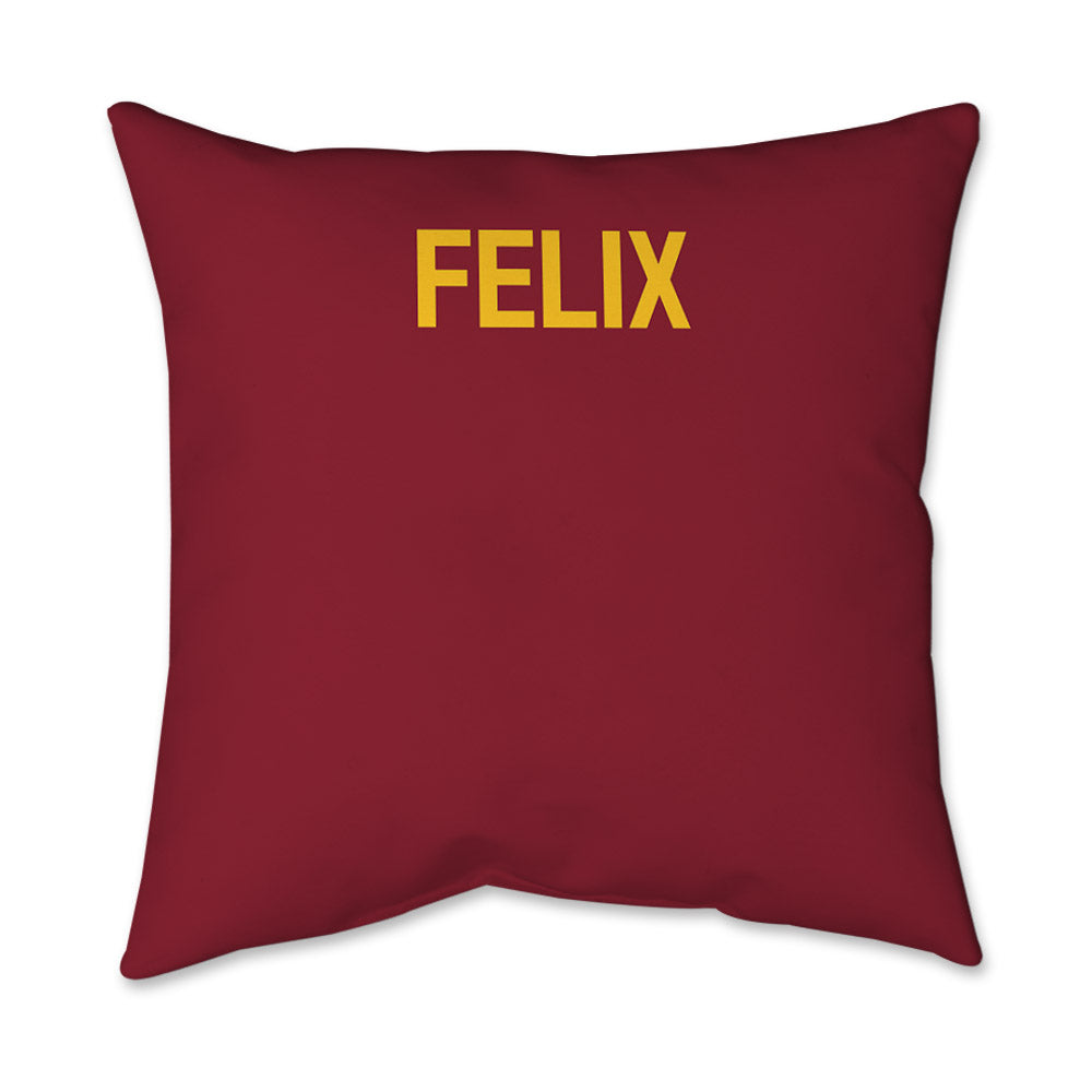 Iowa State - NCAA Women's Tennis : Gabriela Felix - Graphic Pillow 16x16-1