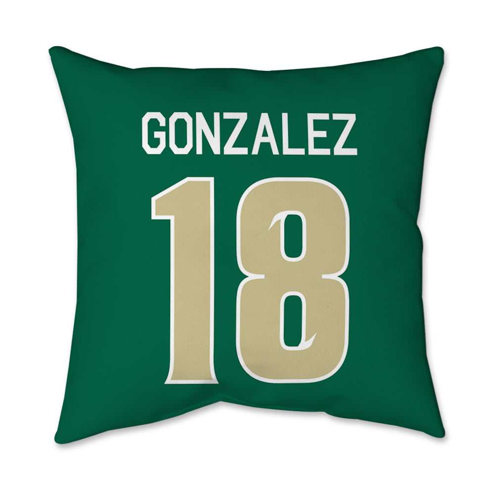 USF - NCAA Men's Soccer : Jacobo Gonzalez - Graphic Pillow 16x16-1