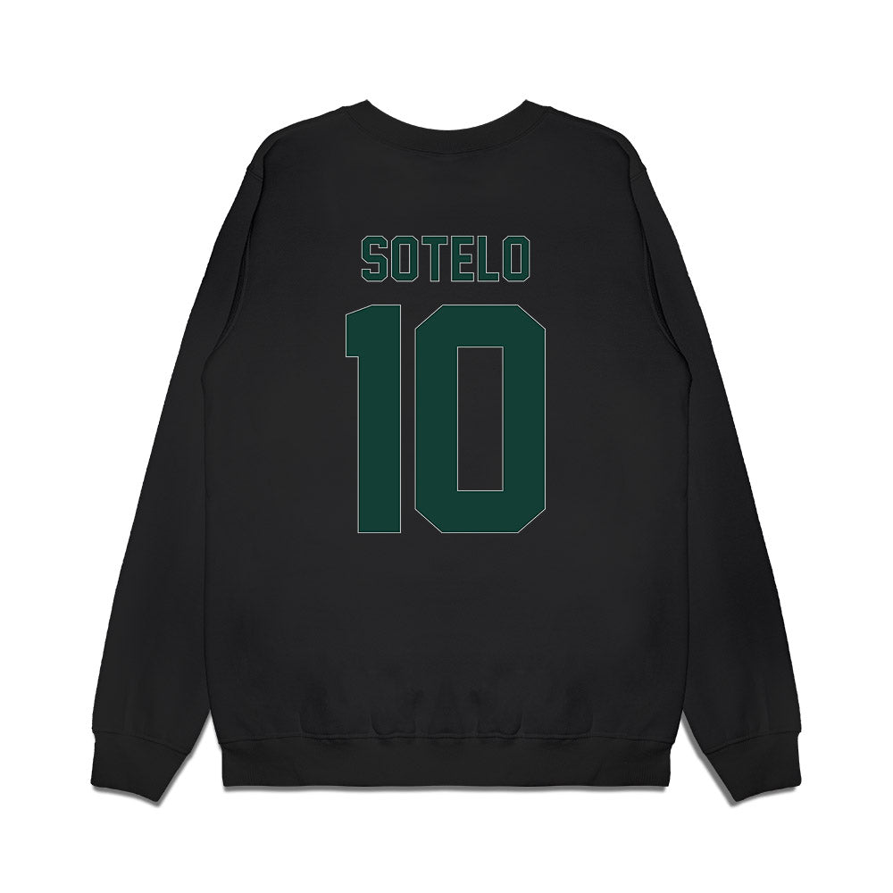 Michigan State - NCAA Women's Basketball : Ines Sotelo - Vintage Shersey Premium Crewneck Sweatshirt-1